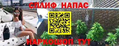 шишки Новокубанск