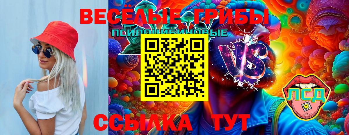 Псилоцибиновые грибы Cubensis Уварово