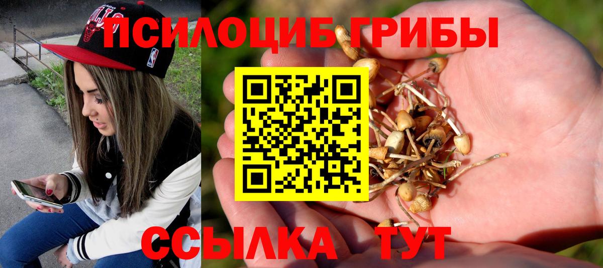 Уварово  Галлюциногенные грибы прущие грибы  Вход с VPN  где купить   Галлюциногенные грибы мицелий 
